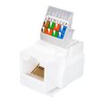 Розеточный модуль Keystone Jack 8P8C (RJ-45), UTP, 5e. заделка без инструмента, белый (10-0312)