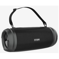 Портативная колонка W-KING D3PRO 60W, черный, BT, miniJack 3.5, (D3PRO)