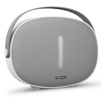 Портативная колонка W-KING T8 30W, серый, BT, miniJack 3.5, USB, (T8)