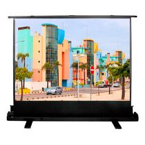 Проекционный экран размер: 160X120 напольный Cactus FloorExpert (1070255)