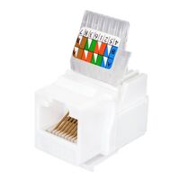 Розеточный модуль Keystone Jack 8P8C (RJ-45), UTP, 5e. заделка без инструмента, белый (10-0312)