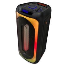 Портативная колонка  BQ PBS1006 25W, черный, BT, FM приемник, (PBS1006)