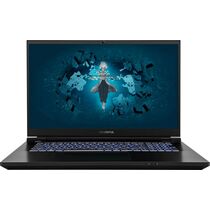 Ноутбук Colorful 17,3"/ Intel i7-13700HX (3.7GHz до 5GHz)/ 32Гб/ SSD 1Тб/ GeForce RTX 4080 12Gb (2560x1440) IPS/ No ODD/ Без ОС/ Черный Evol X17 (A1000340045