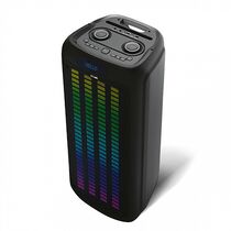 Портативная колонка напольная BQ PBS2010 100W, черный, с микрофоном, BT, miniJack 3.5, USB, FM приемник, (PBS2010)