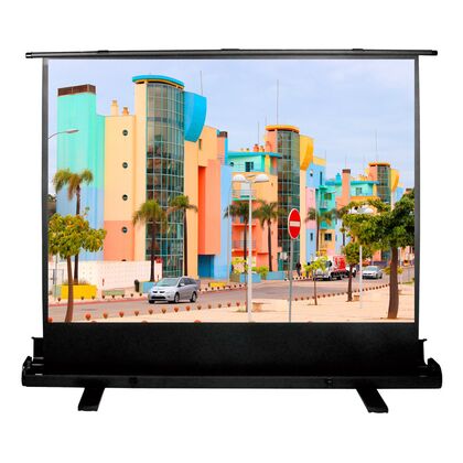 Проекционный экран размер: 160X120 напольный Cactus FloorExpert (1070255)