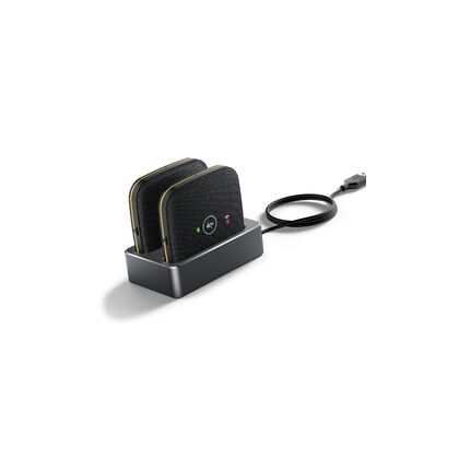 Дополнительные беспроводные DECT-микрофоны для CP965, 2шт. (CPW65-DECT-Duo)