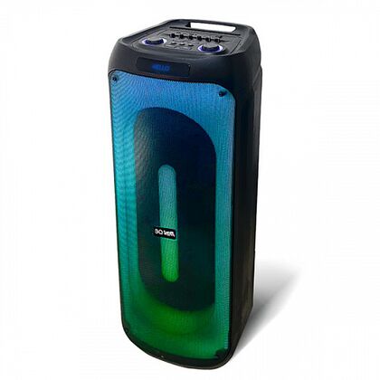 Портативная колонка напольная BQ PBS3002