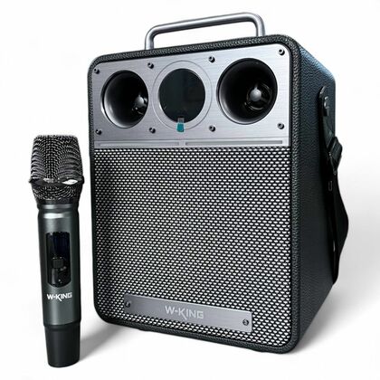 Портативная колонка W-KING T6S 80W, с микрофоном, серый, BT, (T6S)